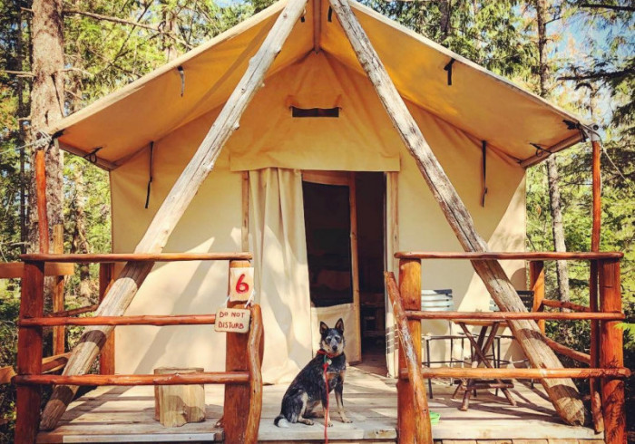 08trail_tent_gallery__5d2e474af31c9